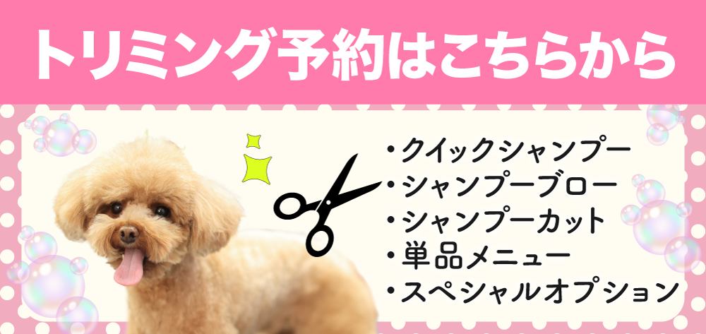 トリミング予約