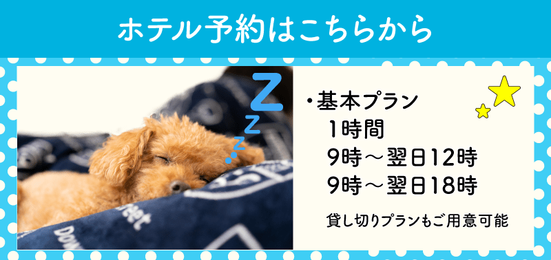 ホテル予約