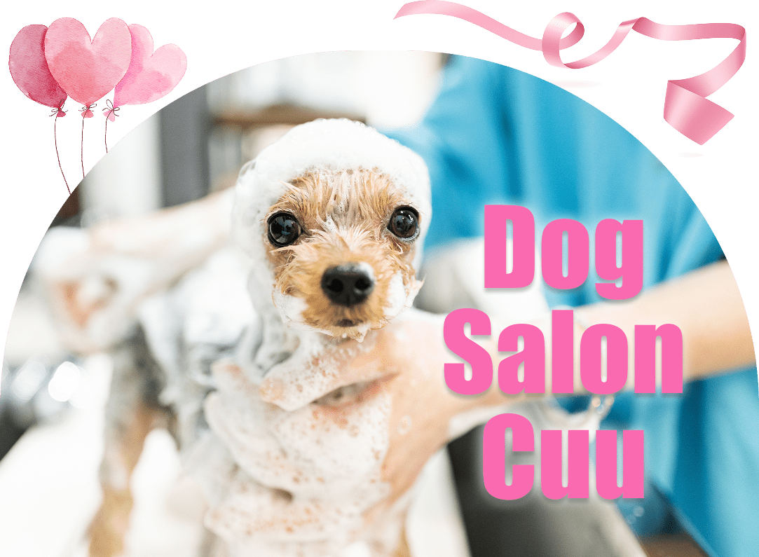 DOG SALON CUU