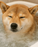 炭酸泉温浴＆スペシャルトリートメント