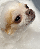 ホイップアロマバス＆スペシャルトリートメント