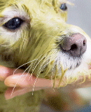 ハーブクレイパック＆ナチュラルケアコンディショニング＆パッドクリーム