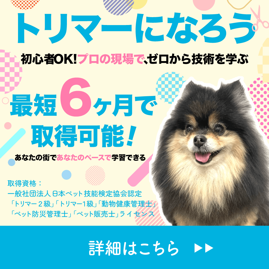 トリマーになろう